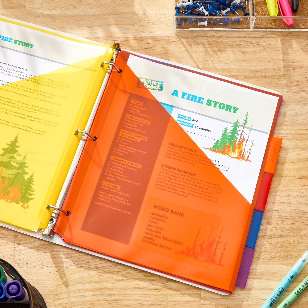 Vibrant Color Index Tab Divide - đánh giá và giá Tab Divider A4