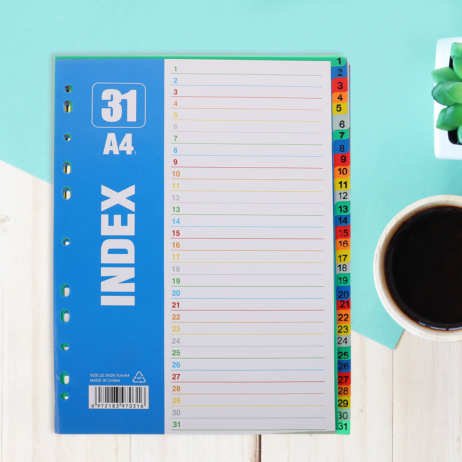 1Set Dividers A4 11-Hole PP St - đánh giá và giá Tab Divider A4