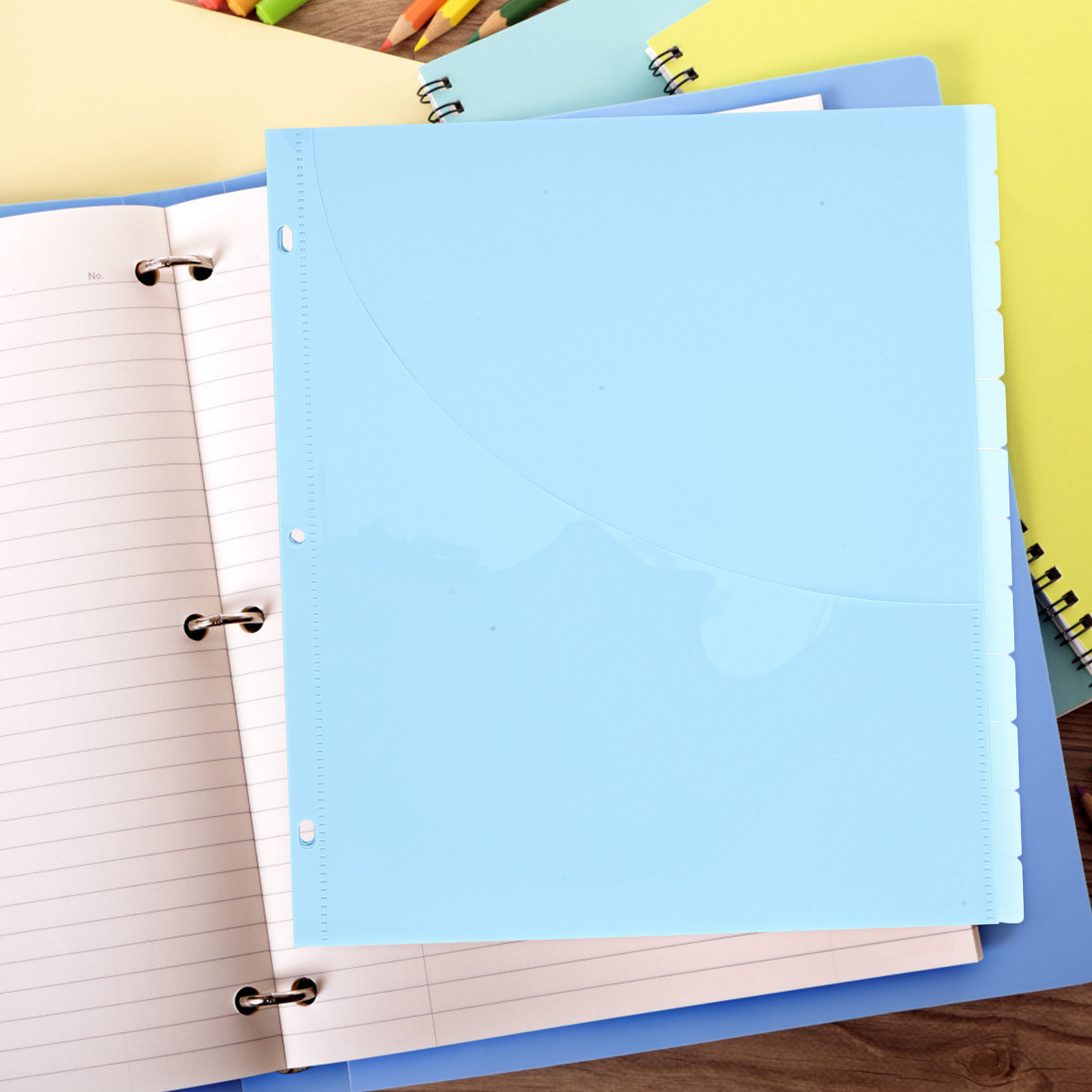 12Pcs Binder Dividers A4 Size  - đánh giá và giá Tab Divider A4